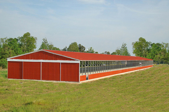 Horse Barns in FL