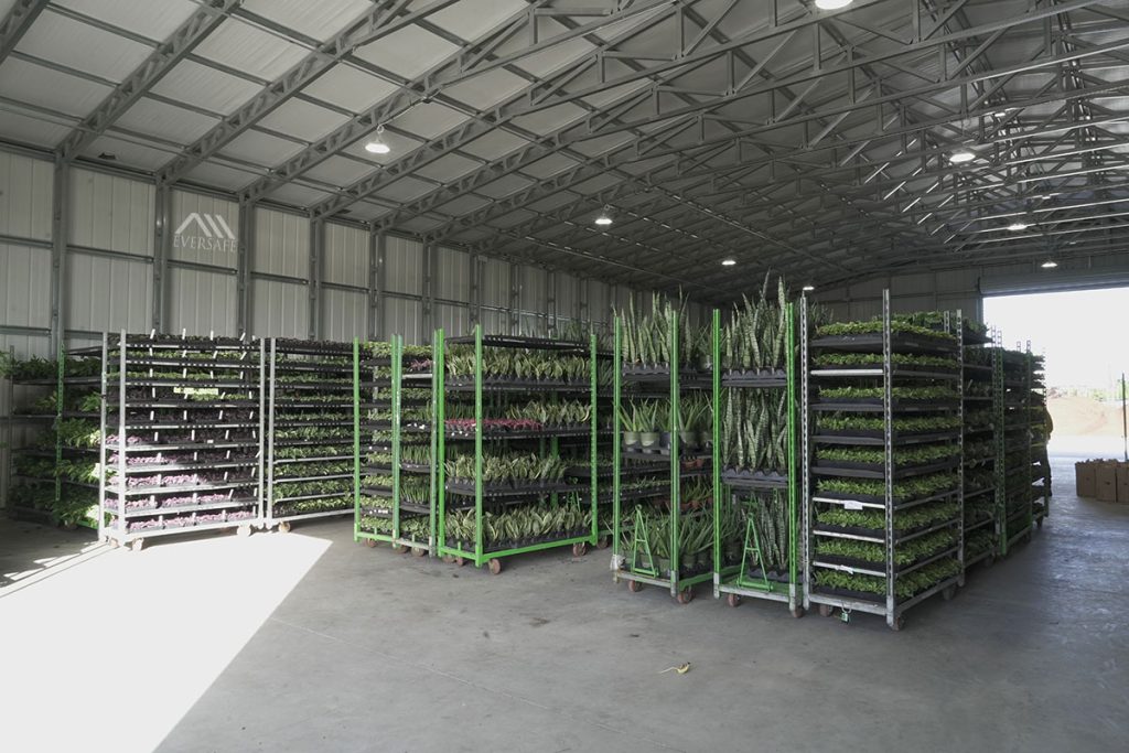 Commercial Warehouse Steel Building Plants